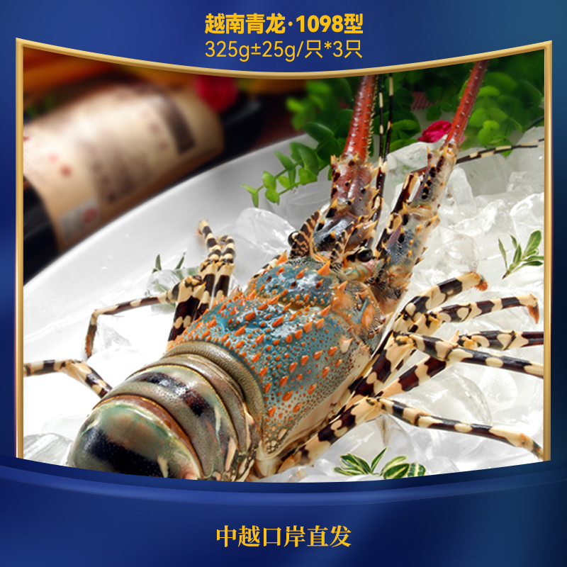 蓝魔龙 越南青龙1098型325g±25g*3只(鲜活到家 源头直发)