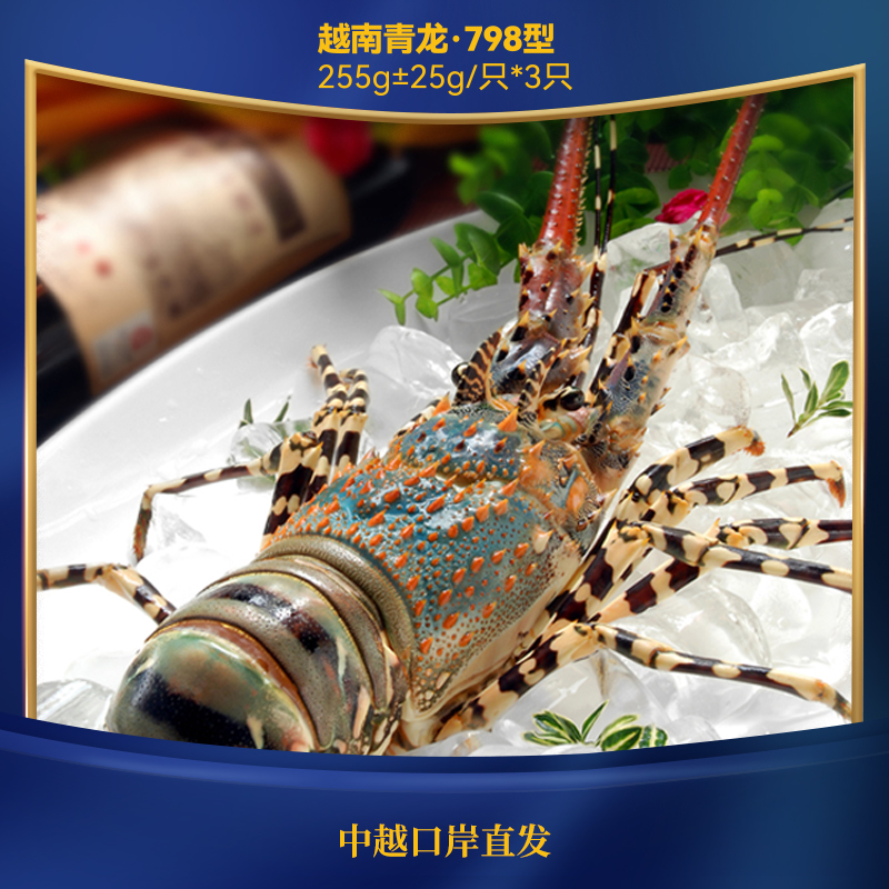 蓝魔龙 越南青龙798型255g±25g*3只(鲜活到家 原产直发)
