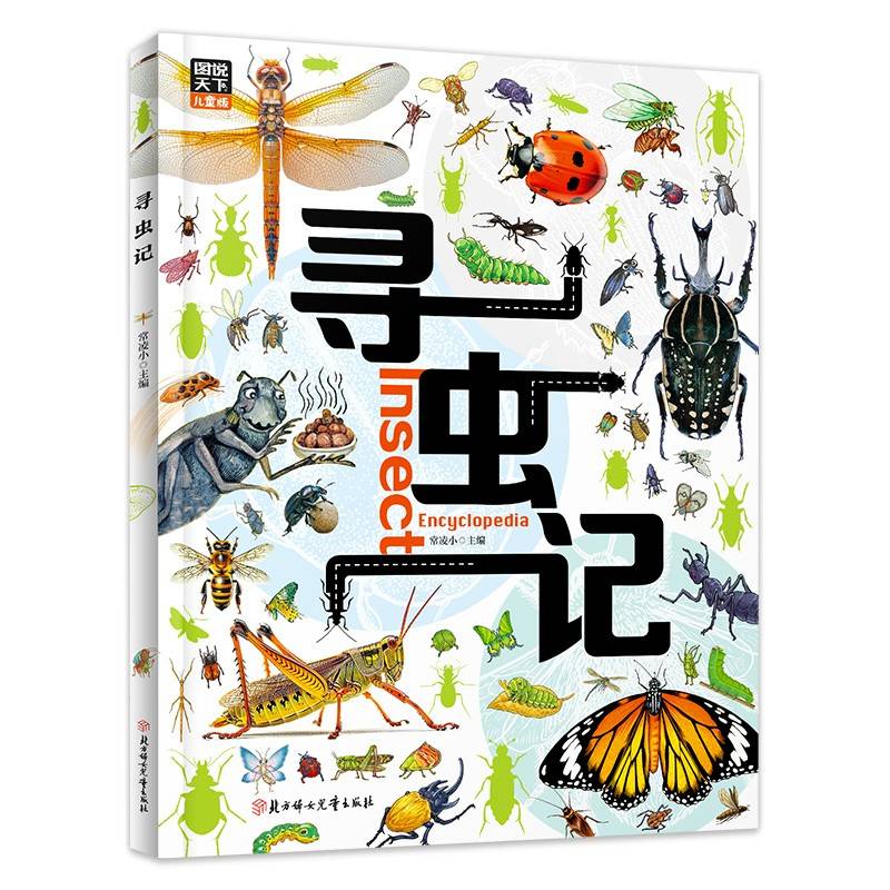 寻虫记 献给孩子们的昆虫探秘科普绘本 图说天下精装版