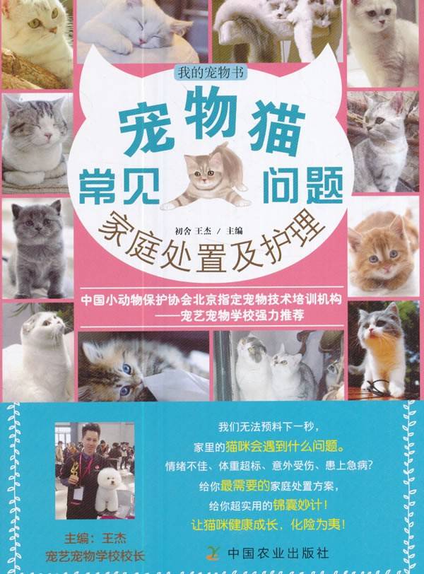 宠物猫常见问题家庭处置及护理