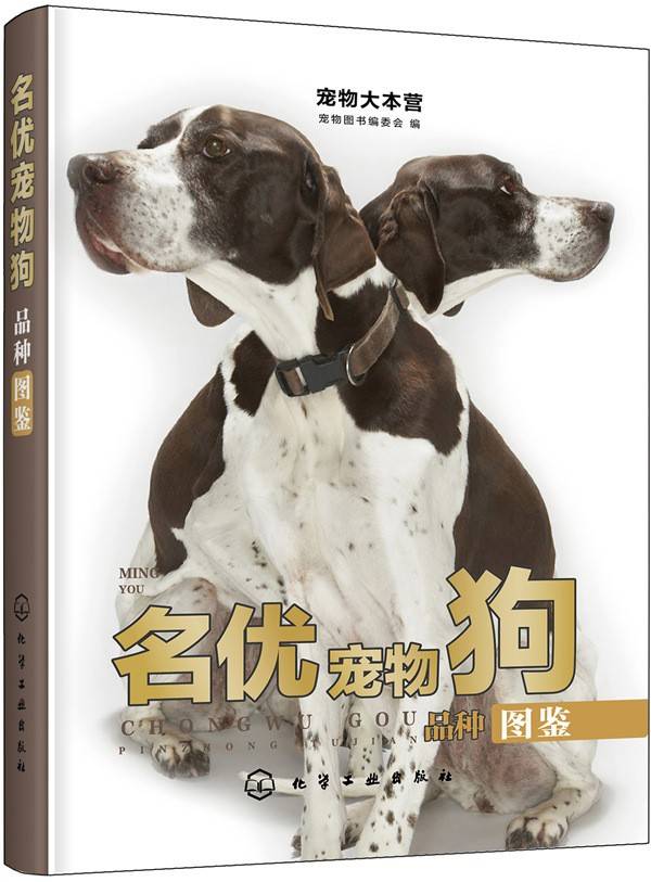 宠物大本营--名优宠物狗品种图鉴