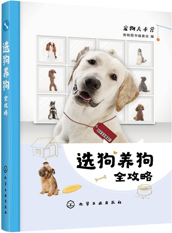 选狗养狗全攻略