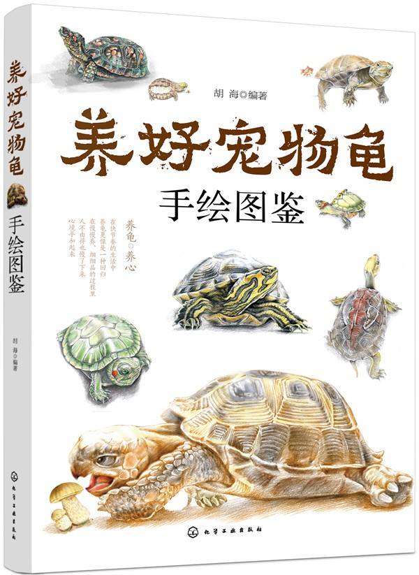 养好宠物龟手绘图鉴