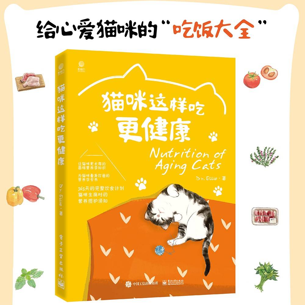 猫咪这样吃更健康