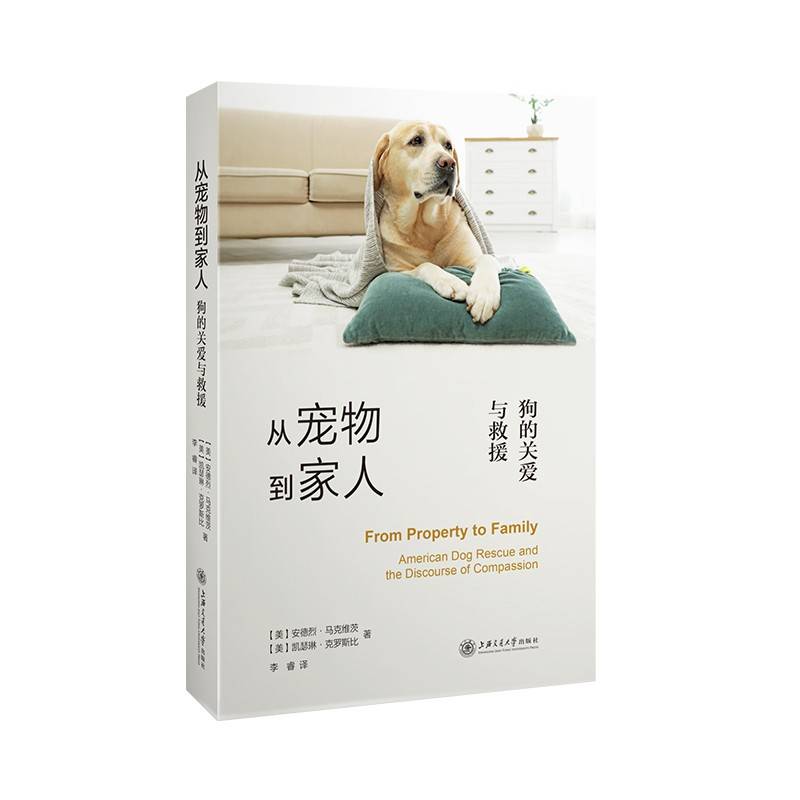 从宠物到家人：狗的关爱与救援