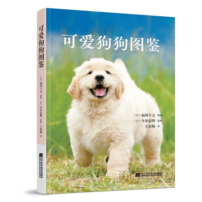 可爱狗狗图鉴
