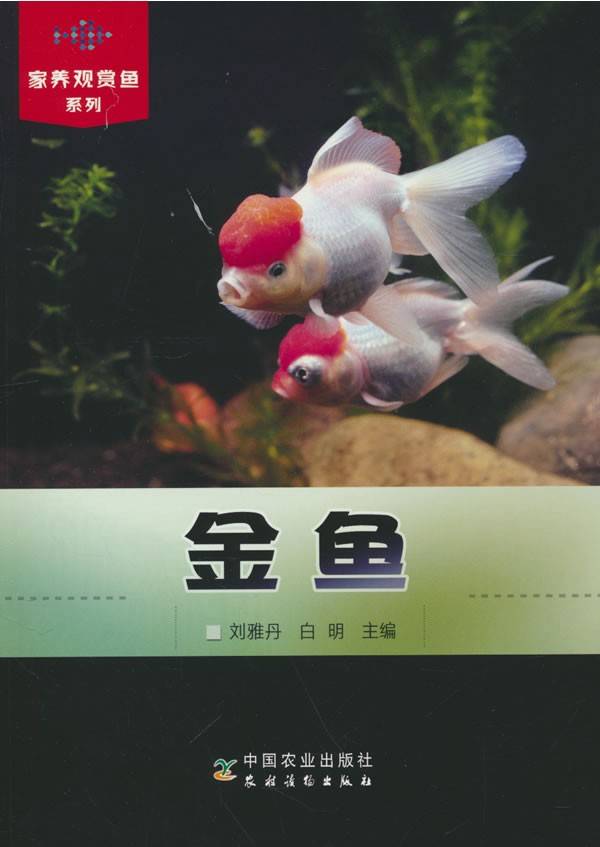 金鱼(家养观赏鱼系列)