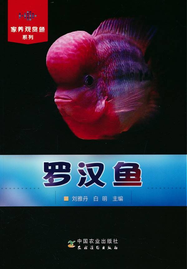 罗汉鱼(家养观赏鱼系列）