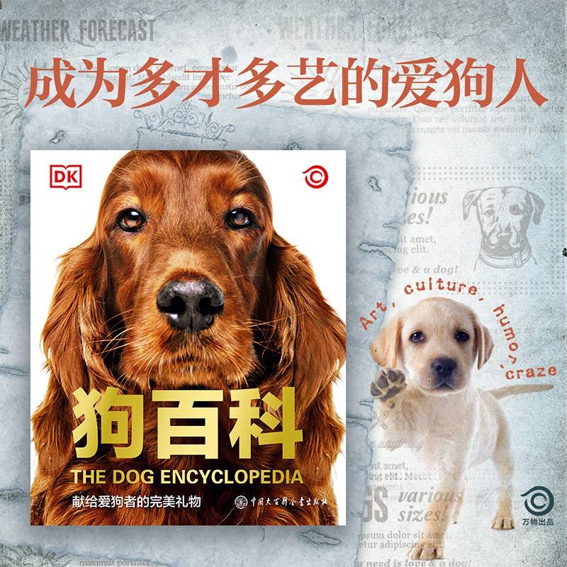 DK狗百科