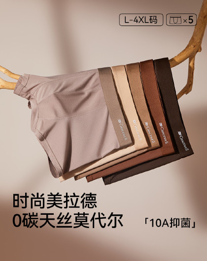 【天丝莫代尔】5条桑蚕丝抑菌冰丝内裤男士商务短裤平角加肥大码