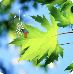 小暑养生指南