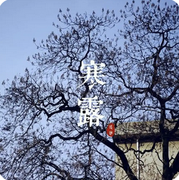 寒露养生指南